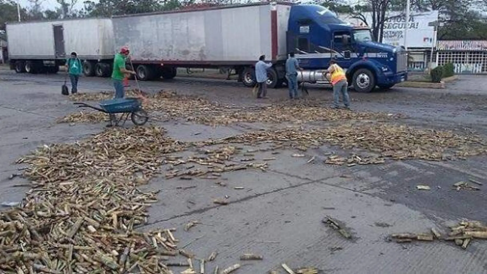 retiran caña tirada en calles